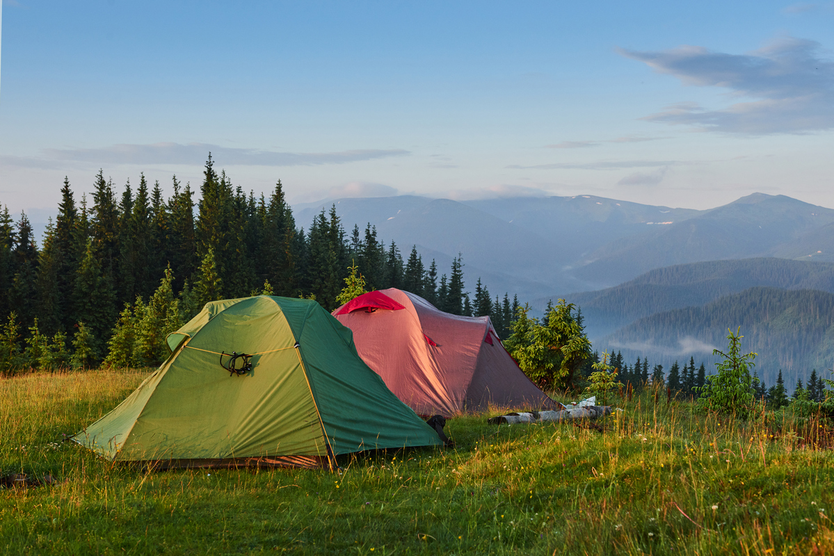 Persiapan Penting Sebelum Camping: Tips Untuk Pengalaman Berkemah Yang ...